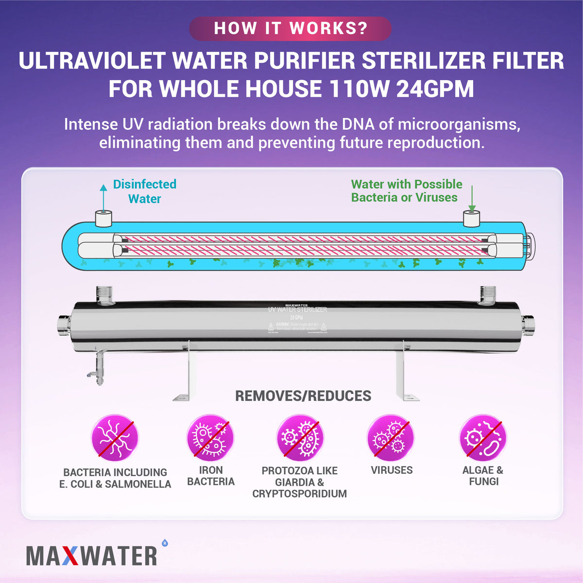 uv light sterilizer