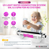 uv bulb